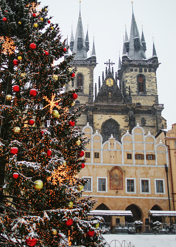 Christmas tree on the main square in Prague