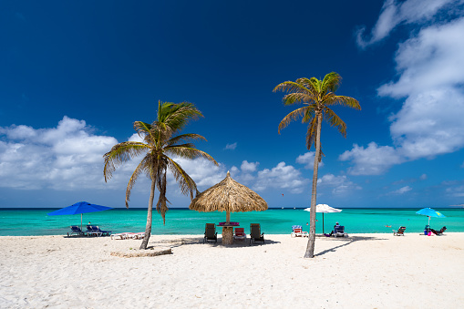 Palm trees and Palapas on Arashi Beach, Aruba