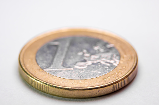 One Euro Coin: Macro Details from a Longitudinal Perspective.