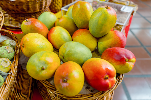fresh mango apple fruits in a basket in an outdoors garden