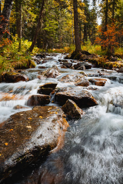 istock mountain stream flows through the autumn forest, stormy streams of water flow through large rocks, autumn landscape. 1776784585