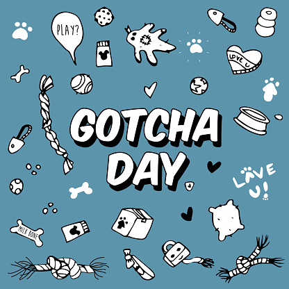 Hand drawings of cute dog adoption related objects with GOTCHA DAY text.