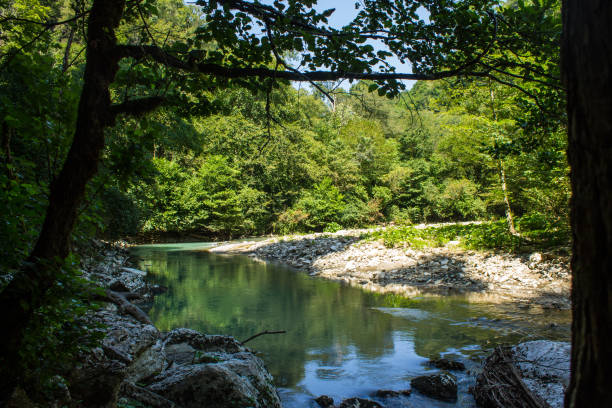 istock the beautiful Khosta River in a yew-boxwood grove in Sochi 1776810056