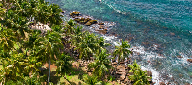 istock Tropical beach with palm trees on shore. View from above. Wide photo. 1776811191