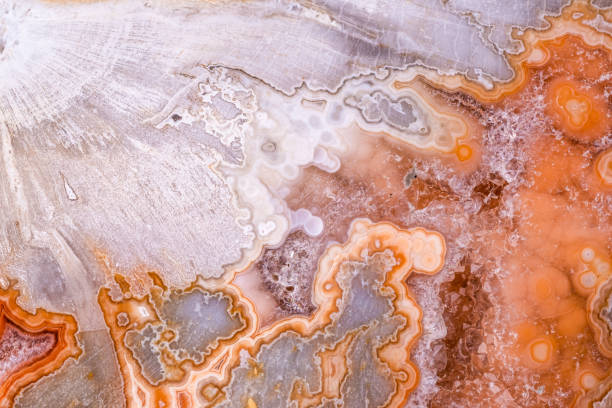istock agate, quartz geode in petrified wood macro detail texture 1776816671