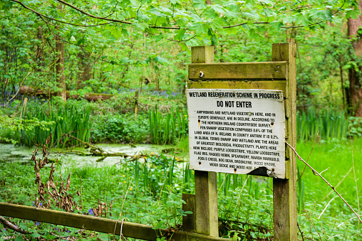 Sign at a wetland regeneration scheme, giving people information about the flora and fauna species in the area.
