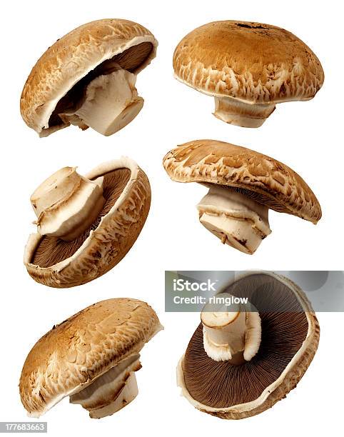 Seis Novos Portobello Cogumelos Isolado - Fotografias de stock e mais imagens de Alimentação Saudável - Alimentação Saudável, Castanho, Caule de planta
