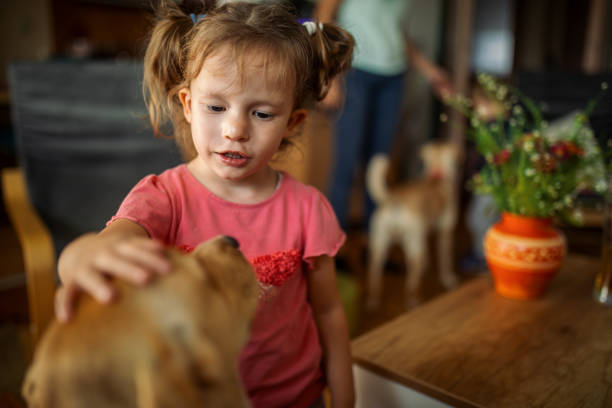 istock Toddler playing with dog indoors 1776840874