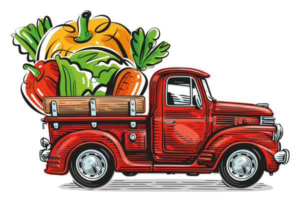 illustrations, cliparts, dessins animés et icônes de camionnette de ferme rétro et légumes frais bio. illustration vectorielle d’aliments sains naturels - farm pumpkin autumn farmer