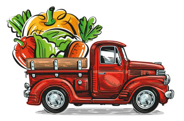 Vector illustration of Retro farm pickup truck and organic fresh vegetables. Natural healthy food vector illustration