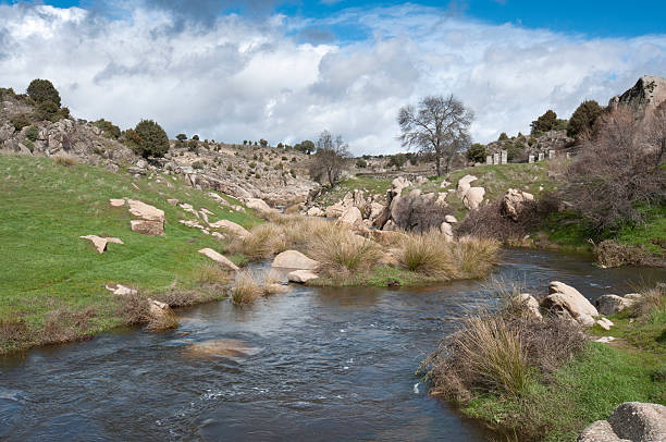 강 만자나레스 - rio manzanares freshwater river stream 뉴스 사진 이미지