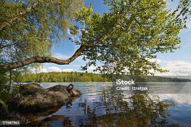 Summer Day On A Lake Stock Photo - Download Image Now - Lake, Water Surface, Birch Tree