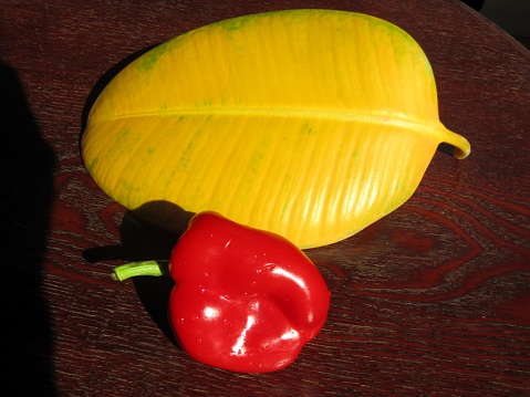 Red bell pepper and yellow fallen leaf.
