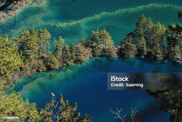 Paesaggio Di Jiuzhaigou Cina - Fotografie stock e altre immagini di Albero - Albero, Altopiano, Ambientazione esterna