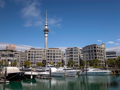 Viaduct Harbour Marina in a sunny day in Auckland, New Zealand