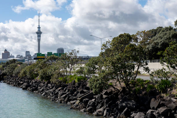 istock Central Auckland, New Zealand 1776898365