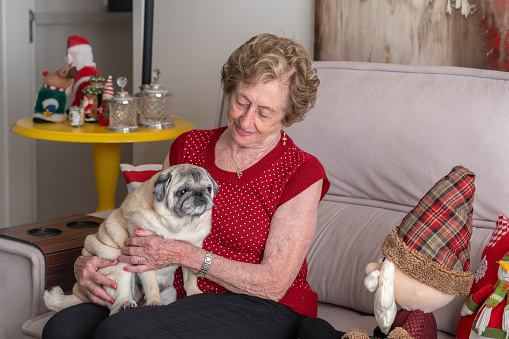 an elderly woman with a pug dog on her lap, in the living room, at Christmas