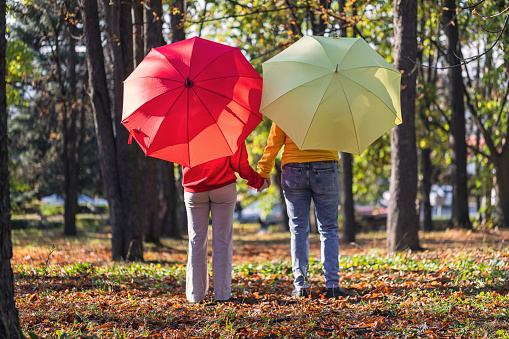 Back view of two women enjoying an autumn forest, they wearing red and yellow hoodies and holding umbrellas