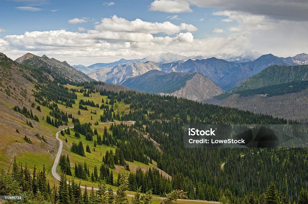 Hart's Pass, Washington, USA - Lizenzfrei Baum Stock-Foto