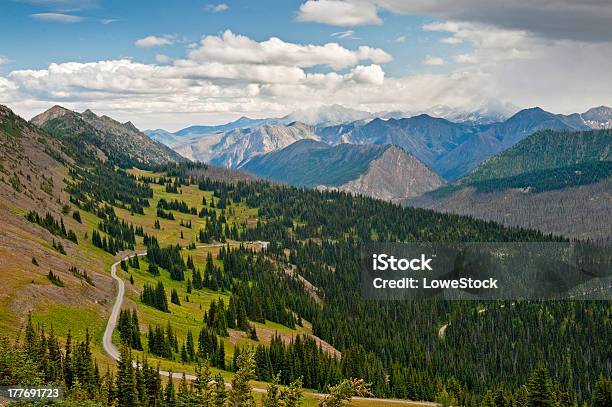 Harts Pass Washington Usa Stockfoto und mehr Bilder von Baum - Baum, Berg, Berggipfel