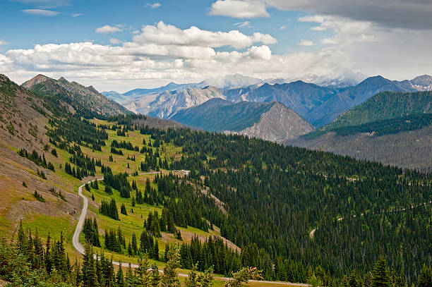 hart s pass, washington, stati uniti - north cascades national park washington state northern cascade range mountain pass foto e immagini stock