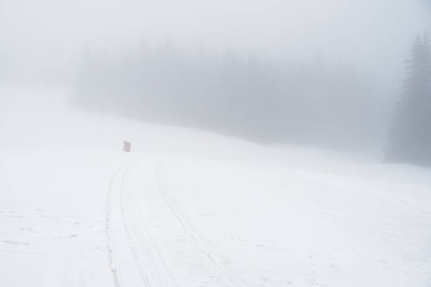 istock Winter landscape. Beskid Zywiecki. Poland 1776922236