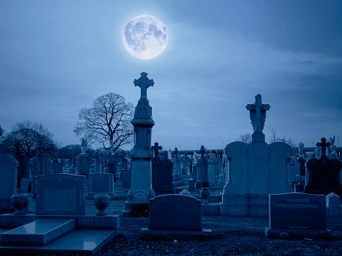 Full moon over cemetery in New York City