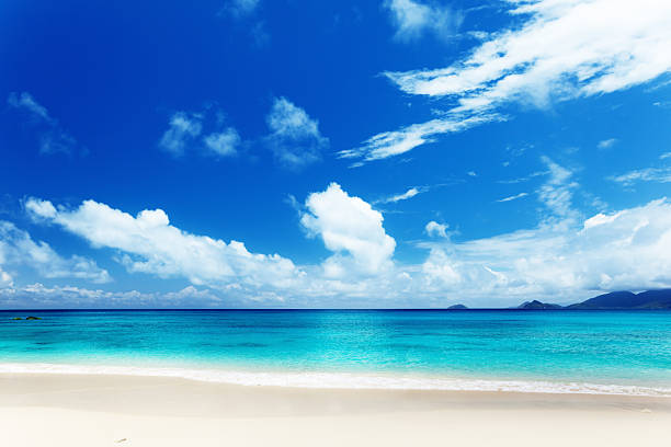 istock beach of Mahe island, Seychelles 177693128