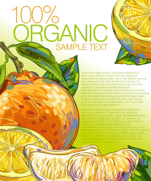 ilustrações, clipart, desenhos animados e ícones de laranja fresco - orange portion vector textured