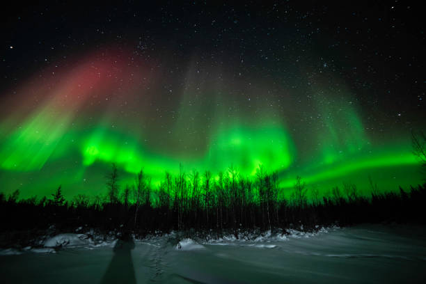 istock Northern lights in the Northwest Territories, Canada 1776941671