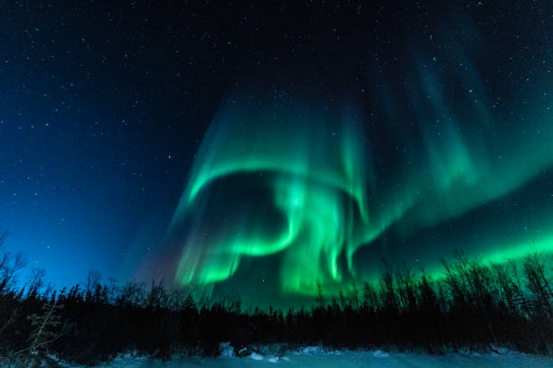 istock Alien shaped Northern lights in the Northwest Territories, Canada 1776941701