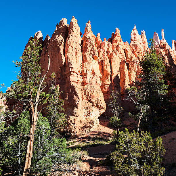 istock On the famous Navajo Trai 177695036