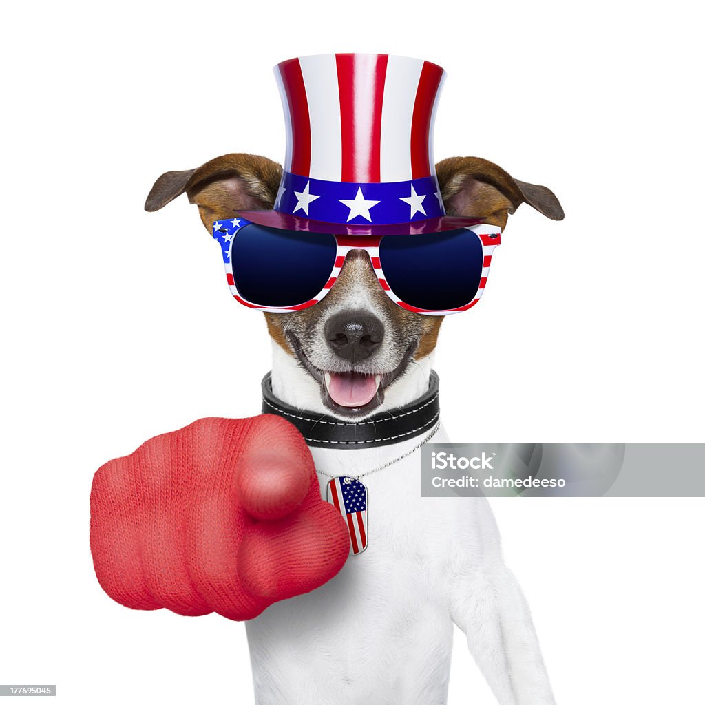 usa american perro - Foto de stock de Indicar libre de derechos