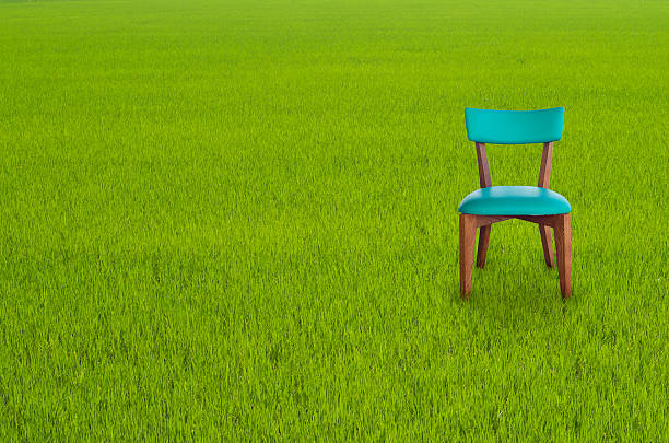 istock Wood chair on Green Grass 177695780