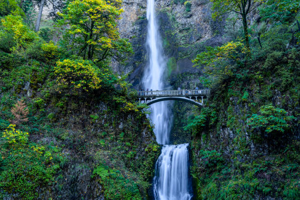istock Columbia river gorge national scenic area 1776959748