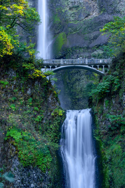 istock Columbia river gorge national scenic area 1776959754