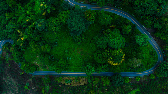 beautyfull landscape top view of curved road and green forest in the rain season, rural routes connecting city  north of thailand, Ecosystem and ecology healthy environment concepts, drone point of view,