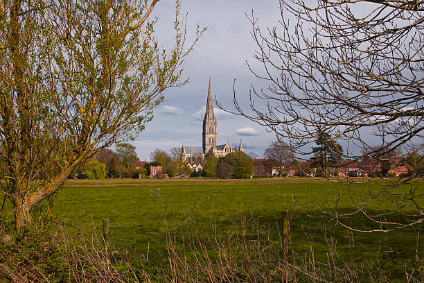 istock Salisbury cathedral in Wiltshire 177697813