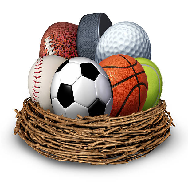 istock Sports Nest 177697915