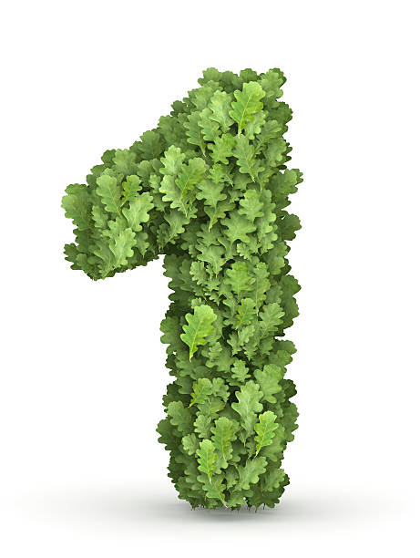 istock Number 1 from green leaves 177697923