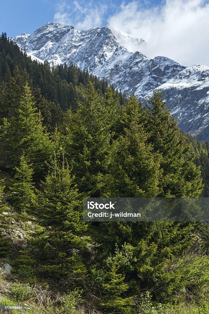 Silvretta estate vista Alpi, Austria - Foto stock royalty-free di Albero