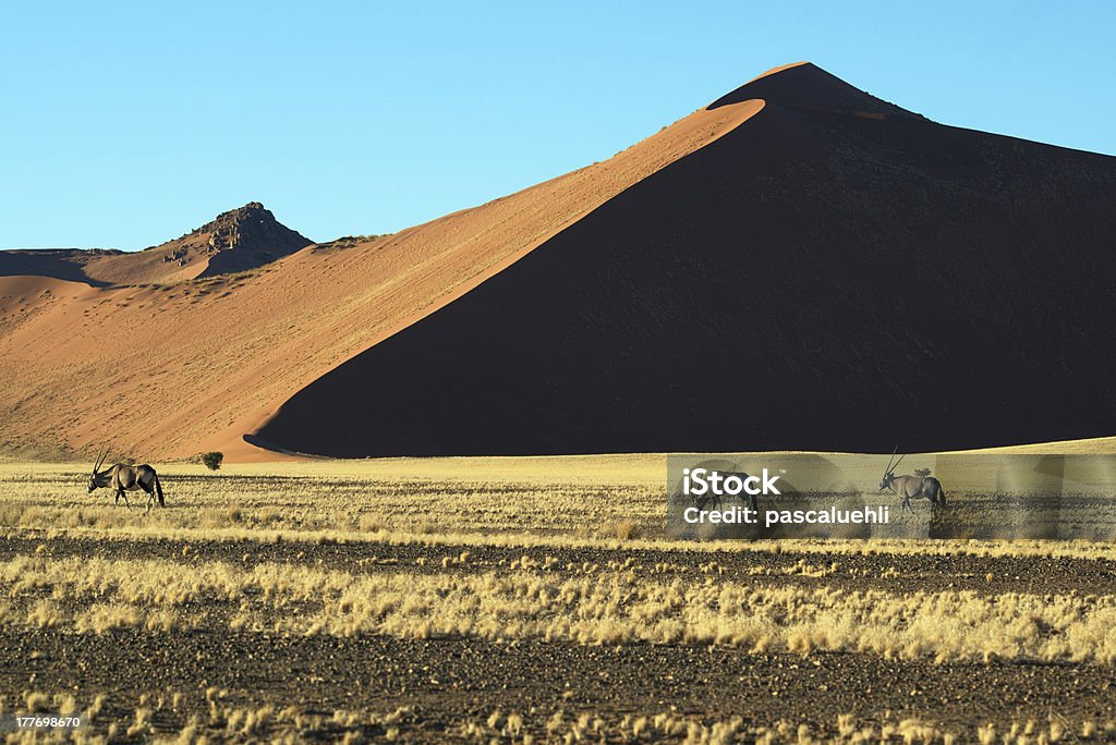 Sossusvlei Dunes Highest dunes in Namibia. Adventure Stock Photo