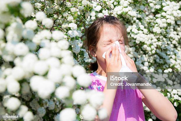 小さな女の子は彼女の鼻をかむ - 1人のストックフォトや画像を多数ご用意 - 1人, くしゃみ, アレルギー