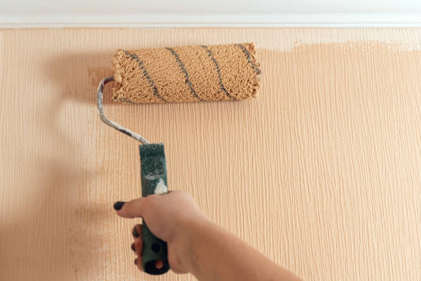 istock A woman's hand paints a wall with a paint roller in a beige color 1776997716