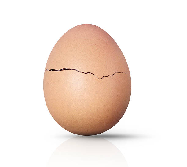 Brown Broken Chocolate Egg Cracked Shell Two Halves Stock Illustration -  Download Image Now - iStock