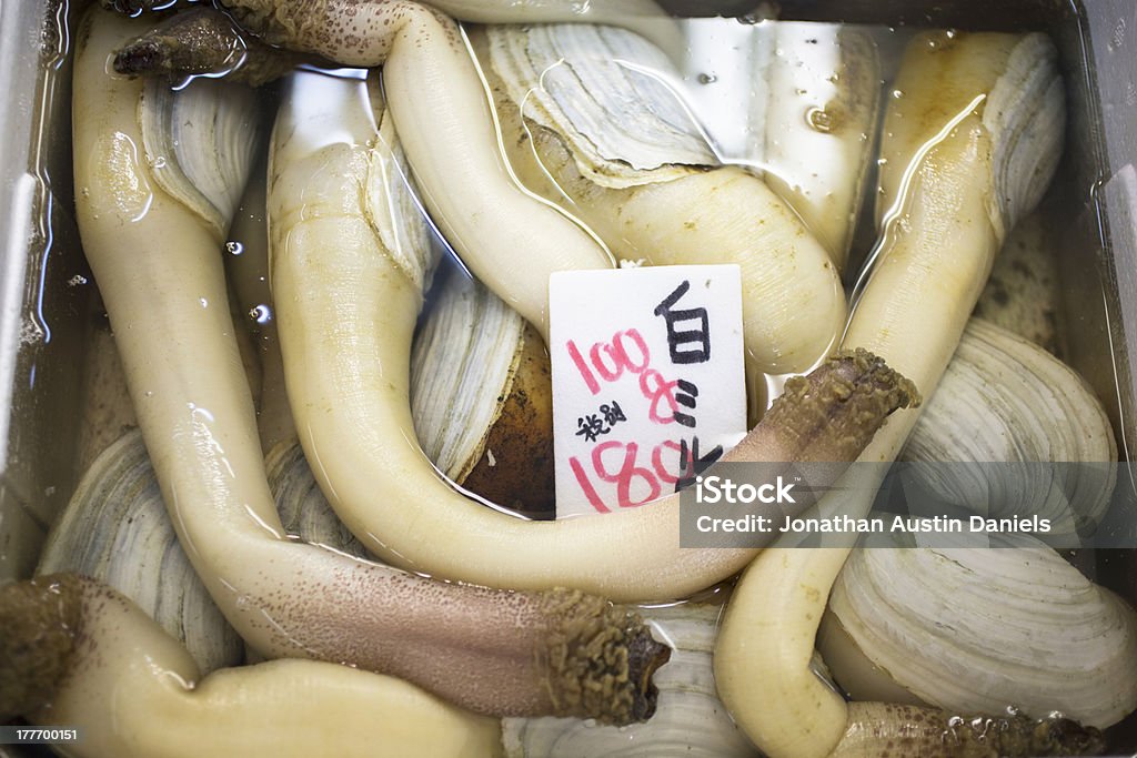 Raw Geoduck for Sale at Seafood Market in Japan Geoduck, a type of edible saltwater clam, for sale at seafood market in Japan. Geoduck Stock Photo