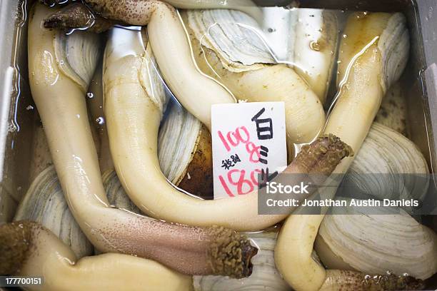 Raw Geoduck For Sale At Seafood Market In Japan Stock Photo - Download Image Now - Geoduck, Animal Shell, Clam - Animal
