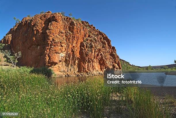 Photo libre de droit de Australie Nuit Mac Donnell Gamme banque d'images et plus d'images libres de droit de Australie - Australie, Botanique, Bush australien