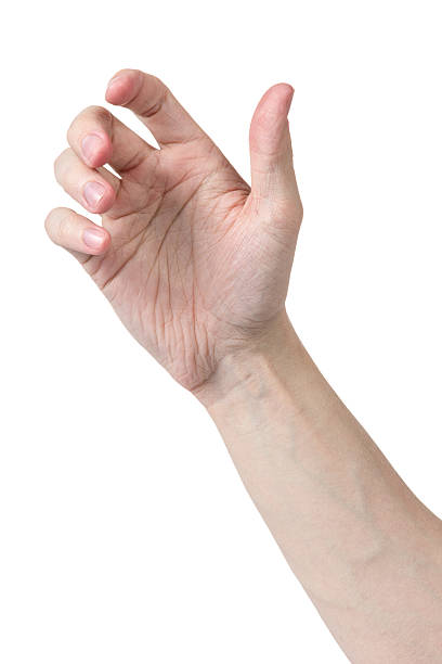 istock adult man hand to hold something 177702926