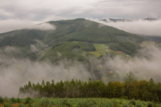 istock mist in the mountains in an autumn day 1777032178
